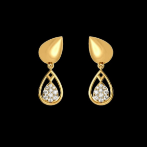 Viberant Drops Earring For Women