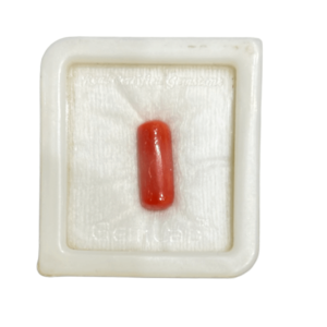 Natural Coral Gemstone