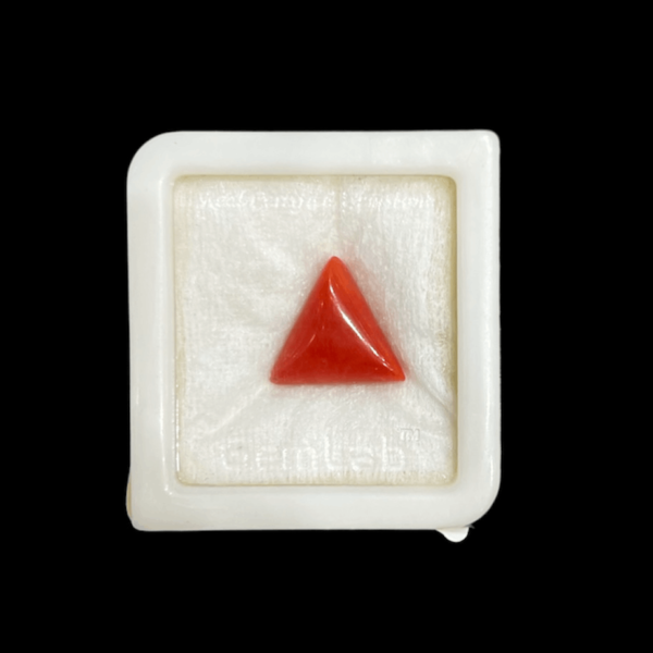 Sehgal Gold Natural Coral Certified Gemstone