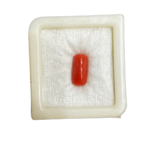 7.25 Ratti Natural Certified Coral Gemstone