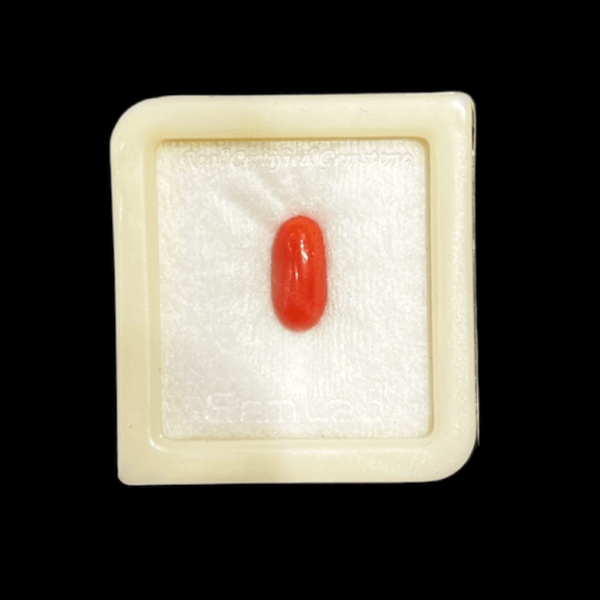 5.17 Ratti  Natural Coral  Gemstone