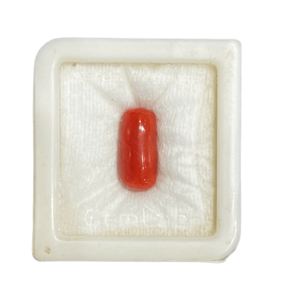 11.67 Ratti 7 Carat Original Certified Natural Coral Stone