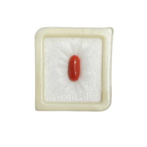 5.25Ratti-3.15carat Natural Coral Gemstone