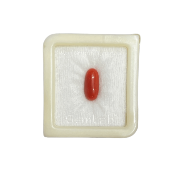 5.25Ratti-3.15carat Natural Coral Gemstone