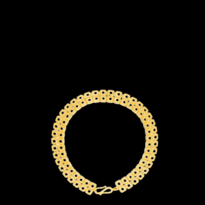 22k (916) Yellow Gold Charm Bracelet for Women