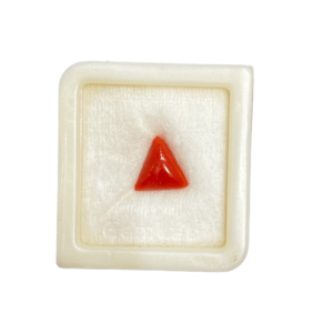 Triangle Natural Coral Gemstone