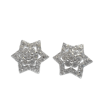 Sterling Silver Shinning Star Stud Earrings