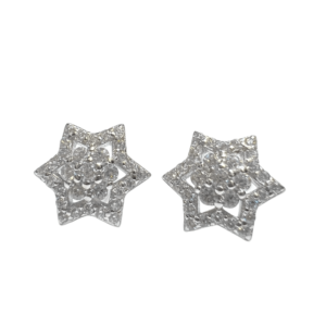 Sterling Silver Shinning Star Stud Earrings