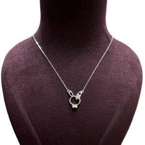 Sterling Silver Apple In Heart Necklace